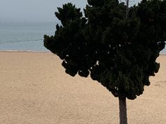 -青岛第一海水浴场