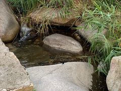 -碓臼峪自然风景区