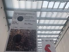 -上海宝龙美术馆