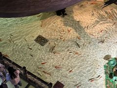 -华夏文旅西安度假区