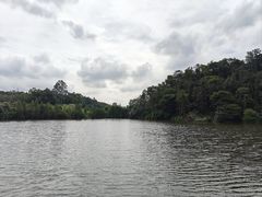 -三水森林公园