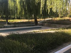 -燕郊植物园