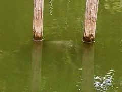 -邹记·美食(斗门店)