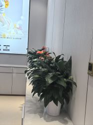 -禾丽康美医疗美容医院