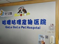 -咕噜咕噜宠物医院·CT·肿瘤科·骨科(前海院)