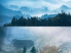 -紫鹊界梯田景区
