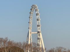 -金鸡湖景区