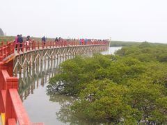 -北海金海湾红树林生态旅游区