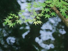 -拙政园