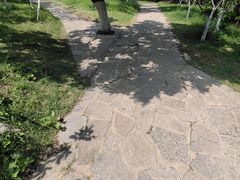 -山东省千佛山医院