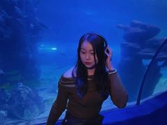 -左海海底世界