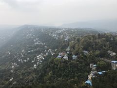 -大金鹰园