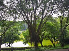 -广州雕塑公园