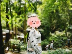 -都江堰普照寺