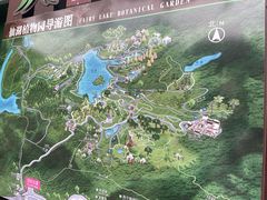 -深圳仙湖植物园