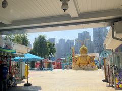 -海合安成都极地海洋公园