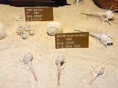 -北海·海洋之窗