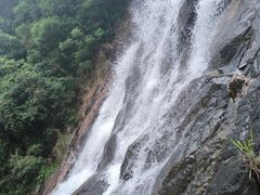 -广州白江湖森林公园