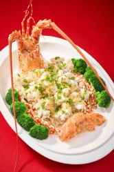 -金茂深圳JW万豪酒店·宴会厅