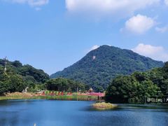 -广州市石门国家森林公园