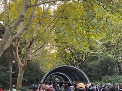 -人民公园-相亲角