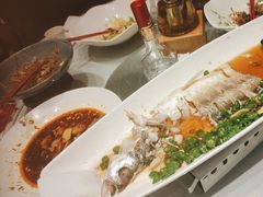 -沪碟·精菜坊(闵行店)