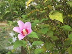 -董永七仙女文化园