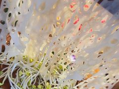 -塔兰齐新疆孜然火锅(鲤鱼山路店)