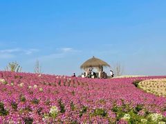 -径山花海