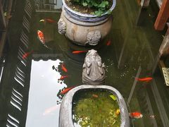 -三只耳火锅(宽窄巷子店)