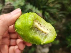 -有鱼吃·纸包烤鱼(曲江创意谷店)