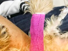 -爱侣宠医·鹦鹉专科·小型哺乳类·异宠专科(灵石路店)