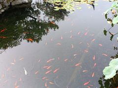 -苏州吴中太湖旅游区