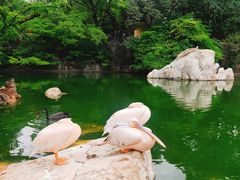 -昆明动物园