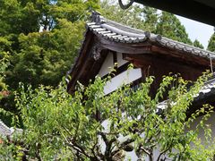 -三千院