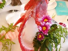 -高老庄新家宴(北斗星广场店)