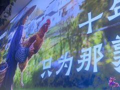 -沧州成老灶火锅鸡(鹿泉总店)