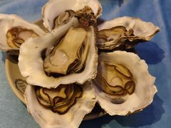 -千岛蚝高压锅生蚝·人参火锅(白云万达店)