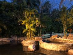 -三亚珠江南田温泉度假区