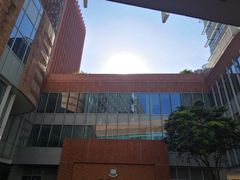 -香港大学