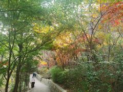 -崂山九水游览区