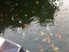 IMG_0371-苏州吴宫泛太平洋酒店