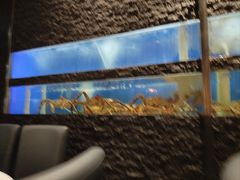-鱼乐轩海鲜专门店
