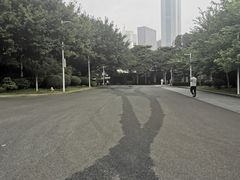 -天河体育中心游泳馆