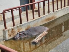 -青藏高原野生动物园
