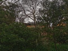 -平湖九龙山旅游度假区