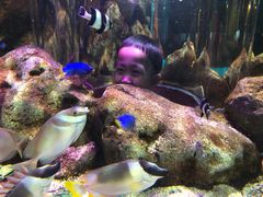 -暹罗海洋世界