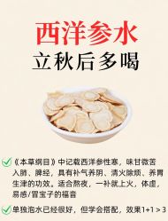 -雅曼妮spa美容养生