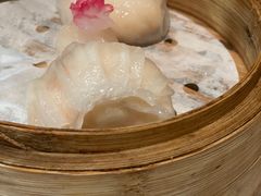 -新同乐鱼翅酒家(美丽华店)