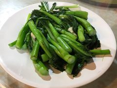 生炒菜心-禄源公·老莞诚饭店